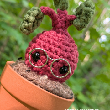 Sir Beetalicious the beet amigurumi pattern by Cosmos.crochet.qc