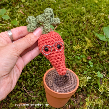 Sir ginger root the Carrot amigurumi pattern by Cosmos.crochet.qc