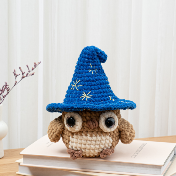 Magic Wizard Owl  amigurumi pattern by The Loop Story