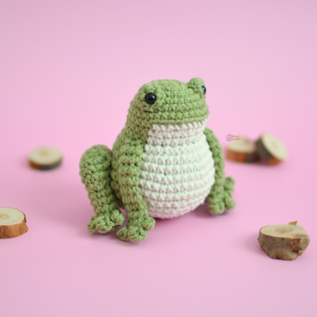 Lyla the frog amigurumi pattern by Elisas Crochet