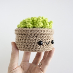Amigurumi Succulent amigurumi by A Menagerie of Stitches