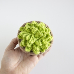 Amigurumi Succulent amigurumi pattern by A Menagerie of Stitches