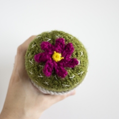 Ball Cactus amigurumi by A Menagerie of Stitches