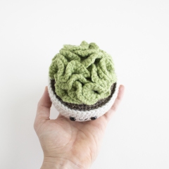 Brain Cactus amigurumi pattern by A Menagerie of Stitches