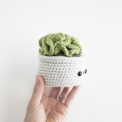 Brain Cactus amigurumi by A Menagerie of Stitches