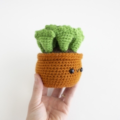 Key Lime Pie Succulent  amigurumi pattern by A Menagerie of Stitches