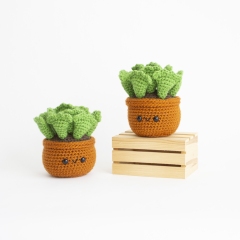 Key Lime Pie Succulent  amigurumi pattern by A Menagerie of Stitches