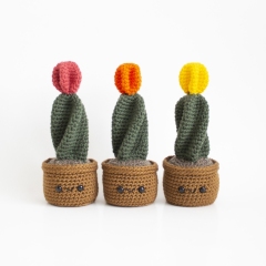 Moon Ball Cactus amigurumi pattern by A Menagerie of Stitches