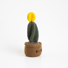 Moon Ball Cactus amigurumi by A Menagerie of Stitches