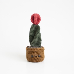 Moon Ball Cactus amigurumi pattern by A Menagerie of Stitches