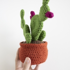 Prickly Pear Cactus amigurumi pattern by A Menagerie of Stitches