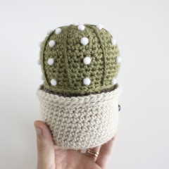 Sand Dollar Cactus amigurumi pattern by A Menagerie of Stitches