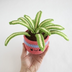 Spider Plant amigurumi pattern by A Menagerie of Stitches