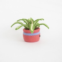 Spider Plant amigurumi by A Menagerie of Stitches