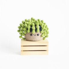 String of Pearls Succulent amigurumi pattern by A Menagerie of Stitches