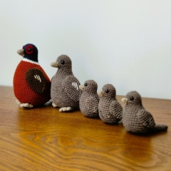 The Pheasantons  amigurumi by Miss Cuddlington
