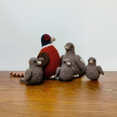 The Pheasantons  amigurumi pattern by Miss Cuddlington