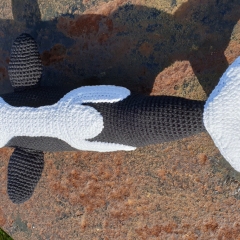 Olwyn the Orca amigurumi pattern by Little Green Bear