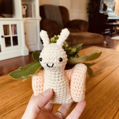 Snail Plant Holder