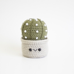 Sand Dollar Cactus