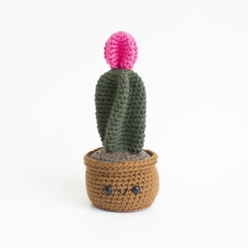 Moon Ball Cactus amigurumi pattern by A Menagerie of Stitches