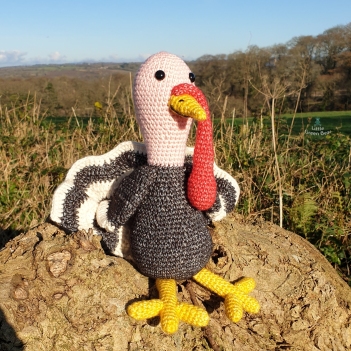Trenton the Turkey amigurumi pattern by Little Green Bear
