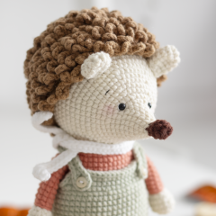 Oliver, the hedgehog amigurumi pattern by GatoFio