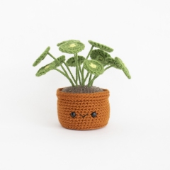 Chinese Money Plant (Pilea) amigurumi pattern by A Menagerie of Stitches