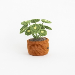 Chinese Money Plant (Pilea) amigurumi by A Menagerie of Stitches