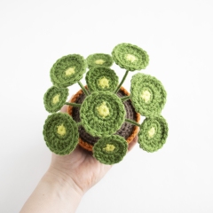 Chinese Money Plant (Pilea) amigurumi pattern by A Menagerie of Stitches