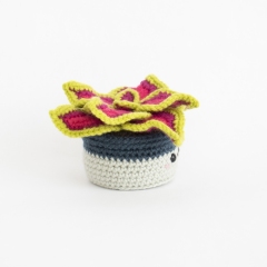 Coleus Plant amigurumi pattern by A Menagerie of Stitches