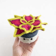 Coleus Plant amigurumi by A Menagerie of Stitches