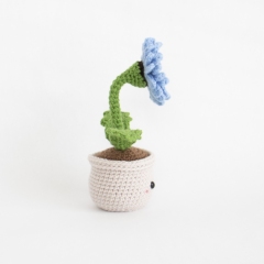 Gerbera Daisy amigurumi pattern by A Menagerie of Stitches