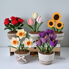 Flowers in a Pot (5 in 1 bundle) amigurumi by apinchofcotton