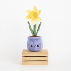 Daffodil
