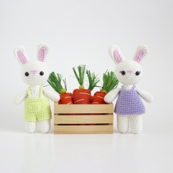 Spring Bunny Duo