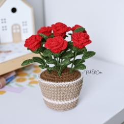 Rose in a Pot 
