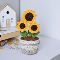 Sunflower in a Pot