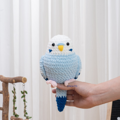 Parrot Blue Budgie