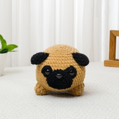 Pug Dog