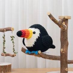 Rainbow Toucan Bird