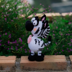 Silly-eyes Zebra