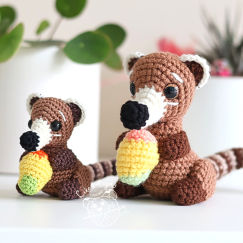 Carla the coati