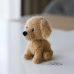Mini Golden Retriever Dog amigurumi pattern by apinchofcotton