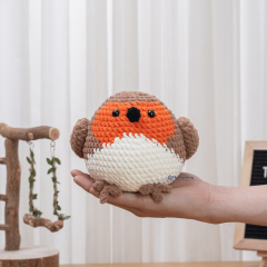 Red Robin Bird  amigurumi by The Loop Story