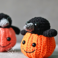 PIP & Rusty the crow & the pumpkin amigurumi pattern by LikeALigerCrochet