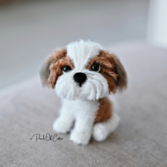 Mini Shih Tzu Dog