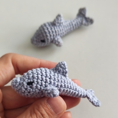 Flippy the Pocket Dolphin