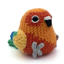 Sun Conure