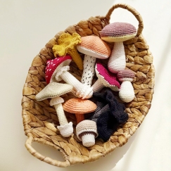 Mushrooms collection